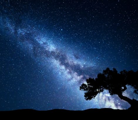 Tree against Milky Way. Night landscape